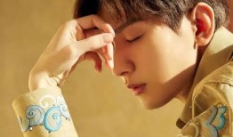 成毅家世爆料视频大全最新,成毅家世爆料视频大全深度解析